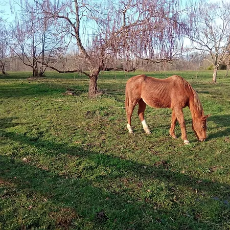 Διαμέρισμα Chalet 2 Lac Et Foret *